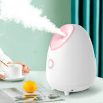 Portable Fruit Facial Mist Sprayer Moisturizer - Image 4