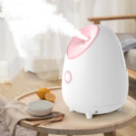 Portable Fruit Facial Mist Sprayer Moisturizer - Image 5