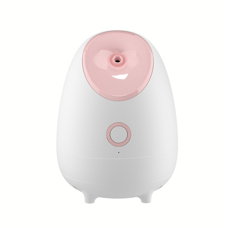 acfaf545-8421-49d1-b899-89e2957a97af Portable Fruit Facial Mist Sprayer Moisturizer - Image 1